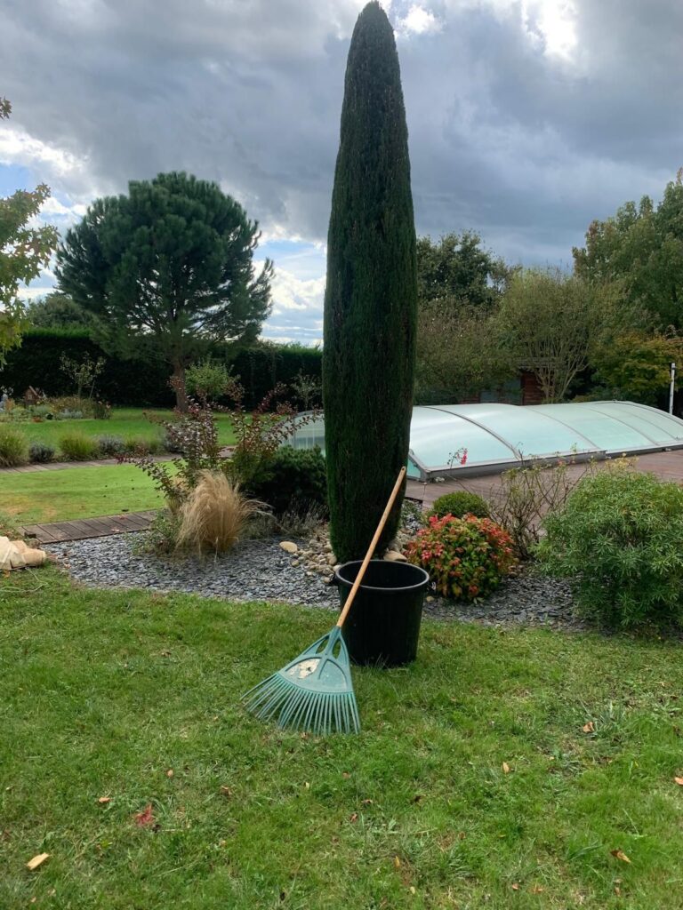 Entretien d’espaces verts à Viriat – LA M’AIN VERTE