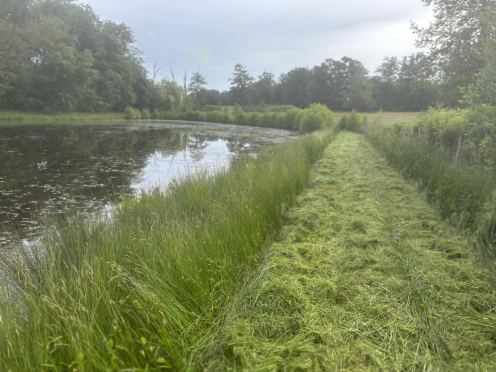 Entretien d’espaces verts à Saint-Amour – LA M’AIN VERTE